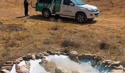 Jandarmadan yaban hayatına minik su havuzları
