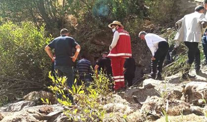 334 koyun uçurumdan düşerek telef oldu