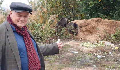 Annelerini kaybeden yavru ayılar, ilçenin maskotu oldu