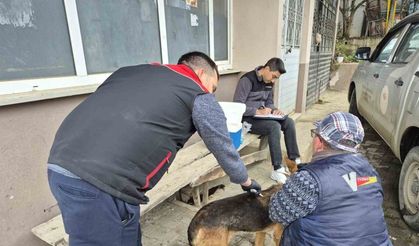 Dijital kimliklendirmede son tarih 31 Aralık 2025