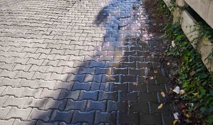 Mahallede tonlarca su boşa aktı