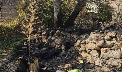 Bahçe temizliği facia ile sonuçlandı