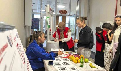 Obeziteye karşı uygulamalı Beden Haritası etkinliği