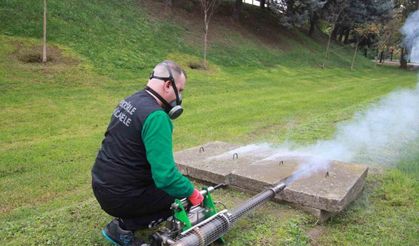 Sinekle mücadelede kışlık uygulama modeline geçildi