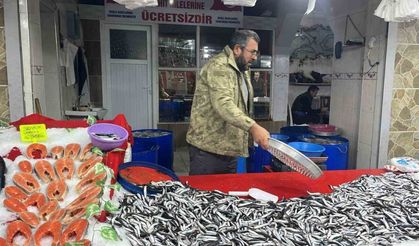 Balık pazarında en çok hamsi ilgi görüyor