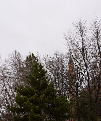 Niğde’de yağışlı hava etkili olacak
