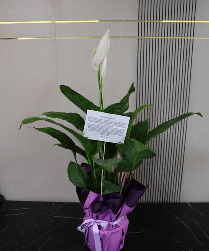 Sevgililer Günü’nde belediyeye anlamlı sürpriz