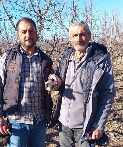 Niğde’de fabrika bahçesinde bitkin atmaca bulundu