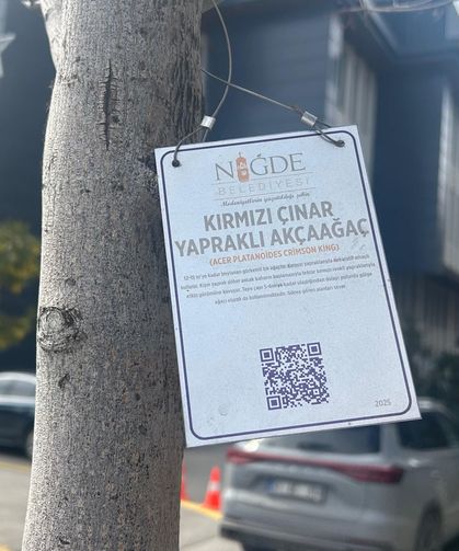 Niğde’de ağaçlara bilgi levhası uygulaması