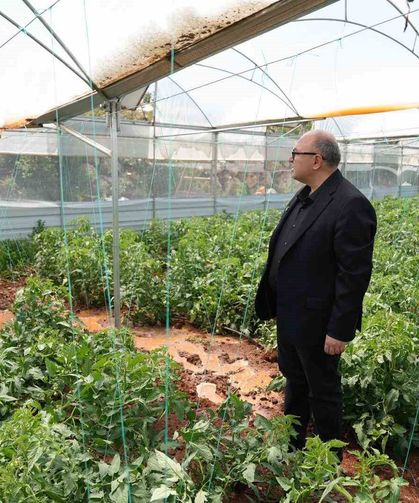 Dolu, sebze tarlaları ve meyve bahçelerine zarar verdi