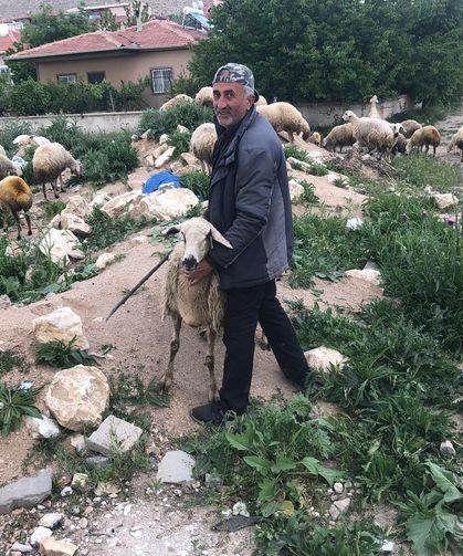 Niğde’de kurbanlık uyarısı: “Hayvanı görmeden almayın”