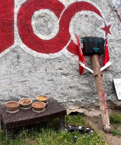 Niğde’de esnaftan sokak kedilerine anlamlı destek