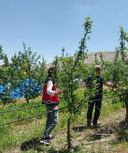 İl Tarım ve Orman Müdürlüğü dolu hasarını sahada inceliyor