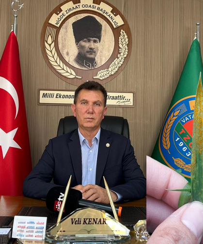Niğde buğday üreticilerine “sarı pas” uyarısı