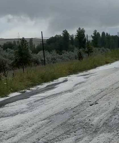 Dolu yağışı tarım alanlarını vurdu
