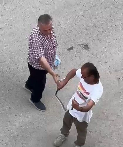 Paniğe sebep olan yılanı eliyle yakaladı
