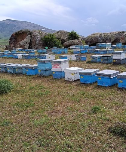 Çamardı Üçkapılı Köyü’nde bal sezonu başladı