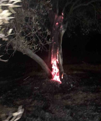 Ot yangını bekçilerin dikkati sayesinde büyümeden önlendi