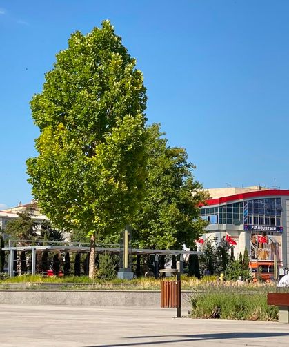 Niğde'de sıcak hava etkisini sürdürecek