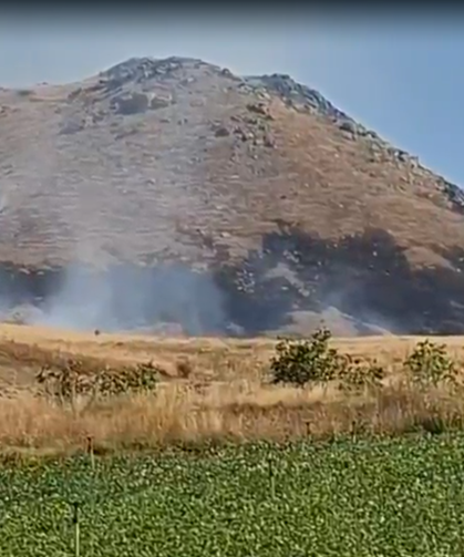 Niğde'de dağlık alanda ot yangını