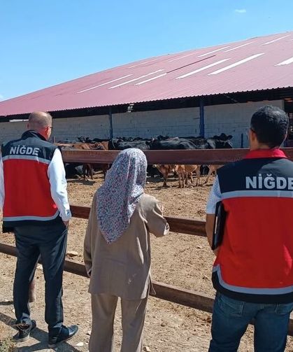 Bor'da ithal hayvanlara yönelik sağlık kontrolleri tamamlandı