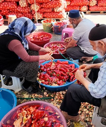 Niğde’de kışlık salça mesaisi başladı