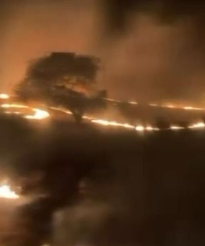 Ulukışla'da anız yangını