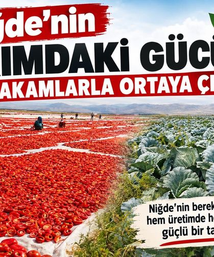 Niğde’nin tarımdaki gücü rakamlarla ortaya çıktı