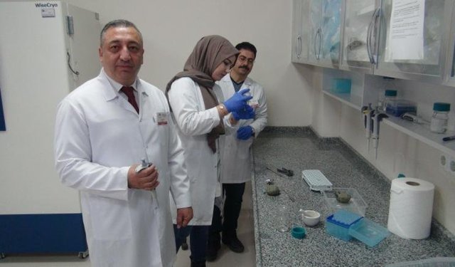 Niğde’de patatesin parmak izi  çıkartılıyor 