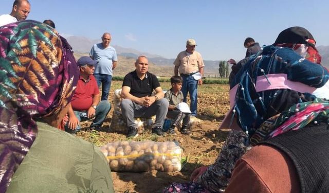 Vali Koç, patates hasadı yapan işçileri ziyaret etti