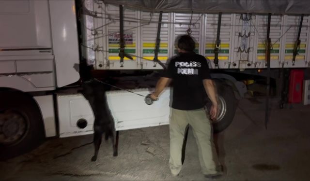 Narkotik polisi saman balyaları arasında 35 kilo esrar ele geçirdi