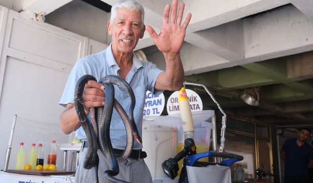 Koynunda beslediği yılanlar böyle ısırdı