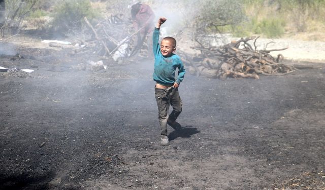 Kavurucu sıcağa rağmen mangal kömürü üretiyorlar