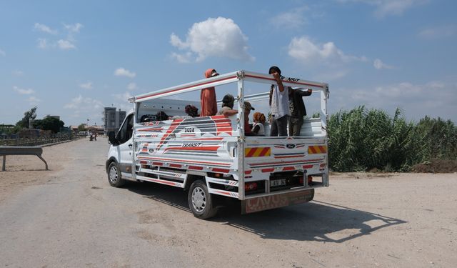 Tarım işçilerine yönelik alan taraması gerçekleştirildi