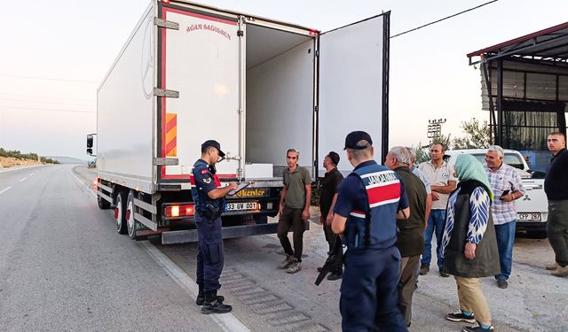 Mersin'de orman suçlarına karşı denetimler sürüyor