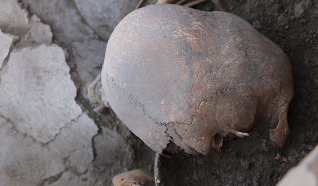 Yassıhöyük'te 6 bin yıllık kafatası bulundu