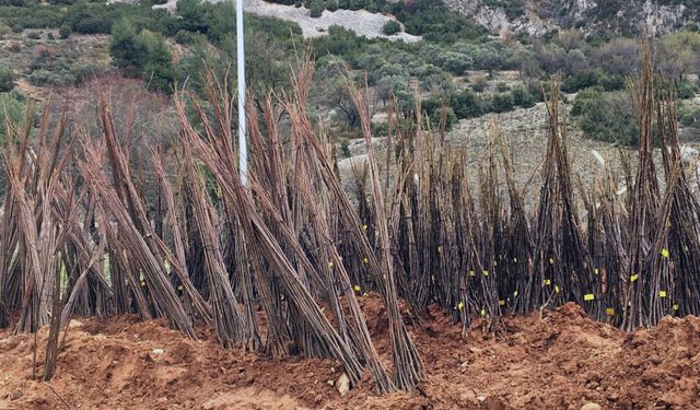 Yangında kovanları yanan arıcılara malzeme desteği