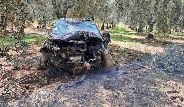 Zeytin Ağaçlarına Dalarak Hurdaya Dönen Araçtan Sağ Çıktı