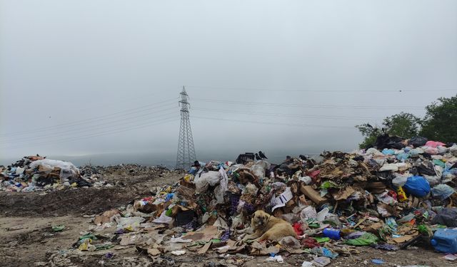 Çöp Yığınları Tehlike Saçıyor