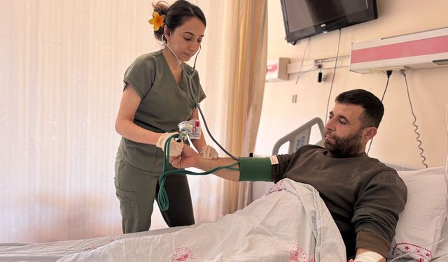 Çekya'dan geldi Mardin'de şifayı buldu