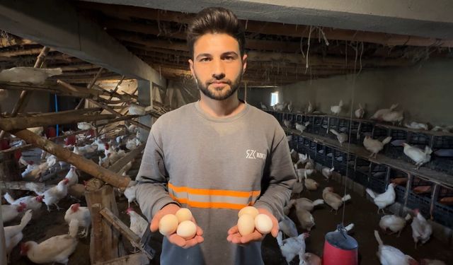 Genç köyde kurduğu çiftlikle yumurta üretimine başladı