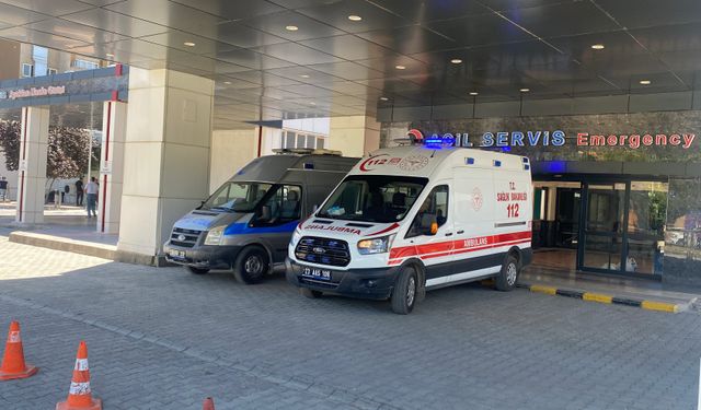 Ahırda süt sağan kadını kene ısırdı