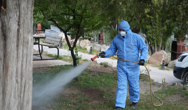 Belediyeden kene ve haşerelere karşı mücadele