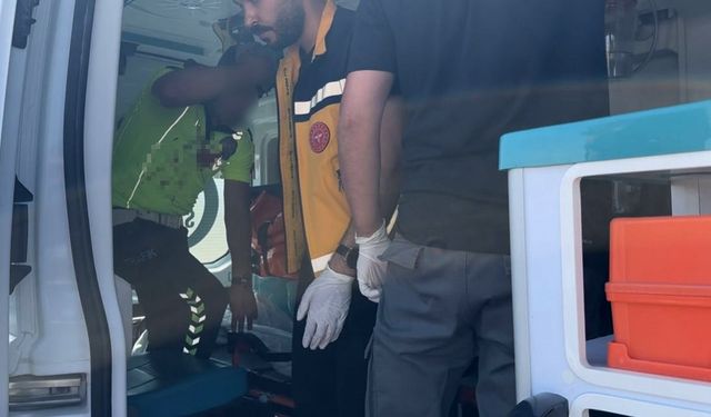 Kamyonet, polis aracına çarptı
