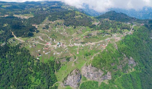 "Akciğer hastaları yaylalardan uzak durmalı"