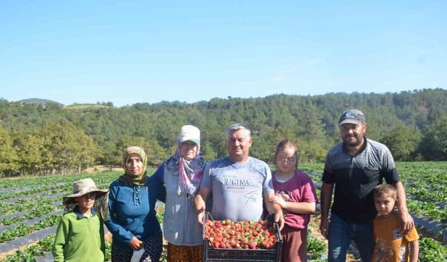25 yıl yaptıkları işi yürütemediler, son çare olarak bunu buldular