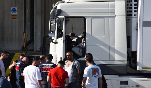 Tır sürücüsü araç içerisinde ölü bulundu