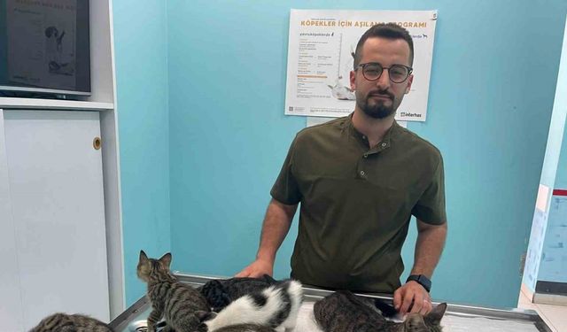 Hayvana eziyet cezasız kalmadı