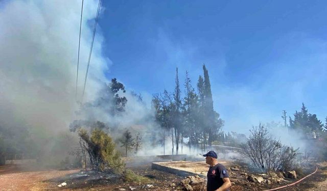 Yaşlı kadını sinir krizine sokan yangın
