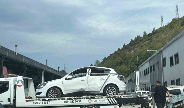 Araca giren arı, kazaya yol açtı: 2 yaralı